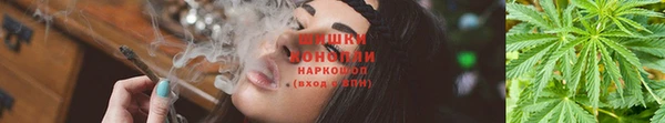 Альфа ПВП Магас